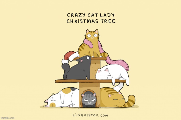 A Cat's Way Of Thinking At Christmas | image tagged in memes,comics/cartoons,crazy cat lady,christmas tree,cats,if you look at it like this | made w/ Imgflip meme maker