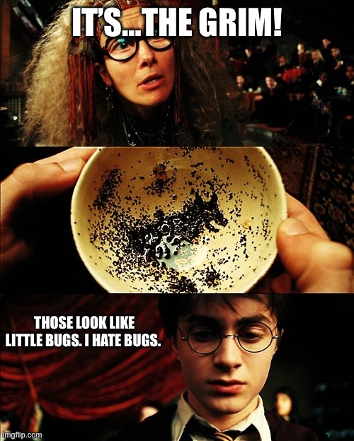 harry potter | IT’S…THE GRIM! THOSE LOOK LIKE LITTLE BUGS. I HATE BUGS. | image tagged in harry potter | made w/ Imgflip meme maker