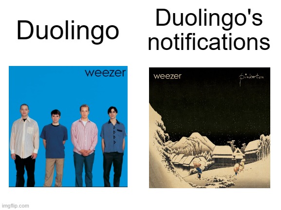 Only Weezer fans will get this | Duolingo's notifications; Duolingo | image tagged in blank white template | made w/ Imgflip meme maker