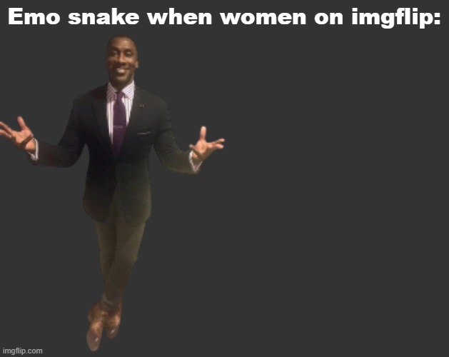 H D | Emo snake when women on imgflip: | image tagged in h d | made w/ Imgflip meme maker