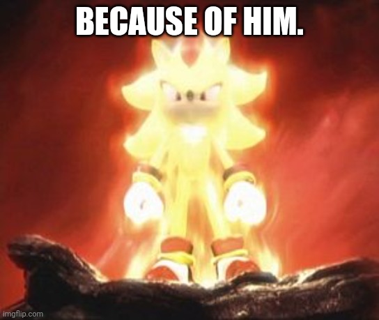 Super Shadow | BECAUSE OF HIM. | image tagged in super shadow | made w/ Imgflip meme maker