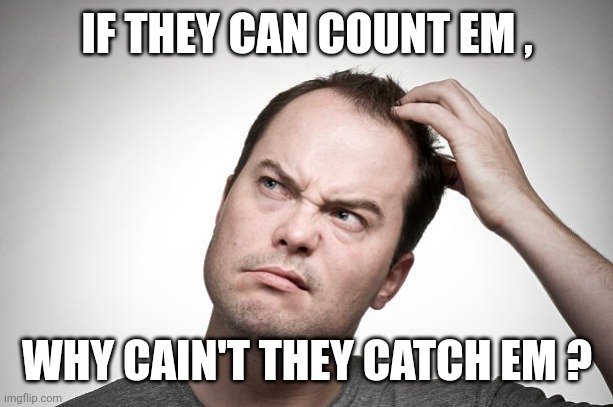 confused | IF THEY CAN COUNT EM , WHY CAIN'T THEY CATCH EM ? | image tagged in confused | made w/ Imgflip meme maker