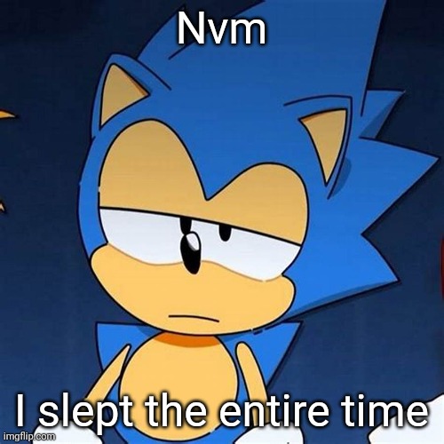 bruh | Nvm; I slept the entire time | image tagged in bruh | made w/ Imgflip meme maker