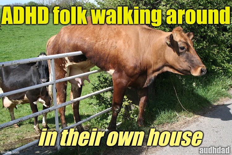 ADHD clumsiness be like | ADHD folk walking around; in their own house; audhdad | image tagged in adhd,audhd,clumsy,clumsiness,falling,memes | made w/ Imgflip meme maker