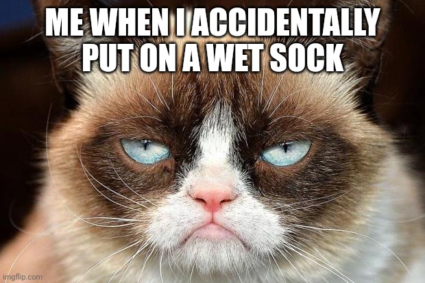 Grumpy Cat Not Amused Meme | ME WHEN I ACCIDENTALLY PUT ON A WET SOCK | image tagged in memes,grumpy cat not amused,grumpy cat | made w/ Imgflip meme maker