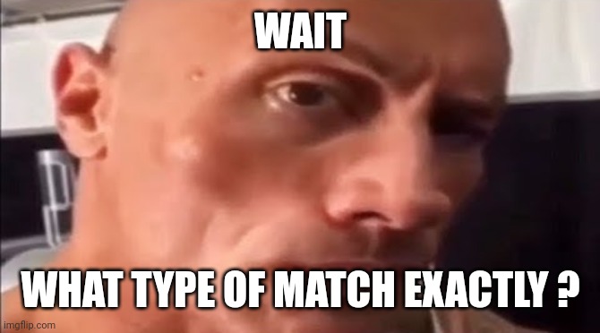 the rock eyebrow | WAIT WHAT TYPE OF MATCH EXACTLY ? | image tagged in the rock eyebrow | made w/ Imgflip meme maker