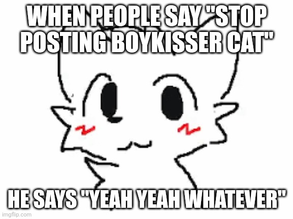 silly cat | WHEN PEOPLE SAY "STOP POSTING BOYKISSER CAT"; HE SAYS "YEAH YEAH WHATEVER" | image tagged in silly cat | made w/ Imgflip meme maker