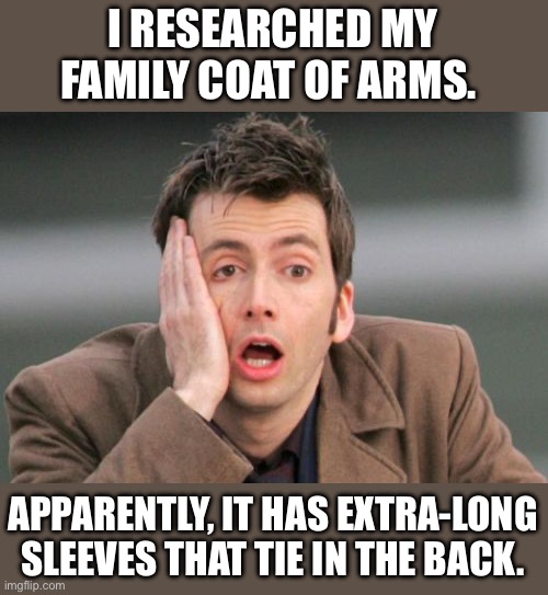 Ancestry | I RESEARCHED MY FAMILY COAT OF ARMS. APPARENTLY, IT HAS EXTRA-LONG SLEEVES THAT TIE IN THE BACK. | image tagged in face palm | made w/ Imgflip meme maker