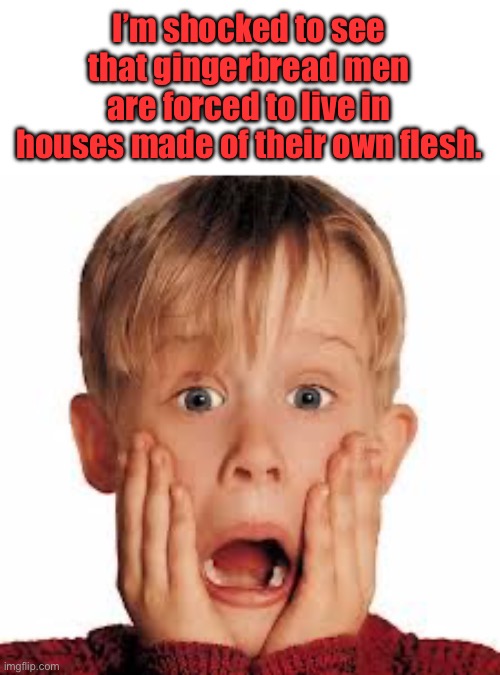 Shocked | I’m shocked to see that gingerbread men are forced to live in houses made of their own flesh. | image tagged in shocked face | made w/ Imgflip meme maker