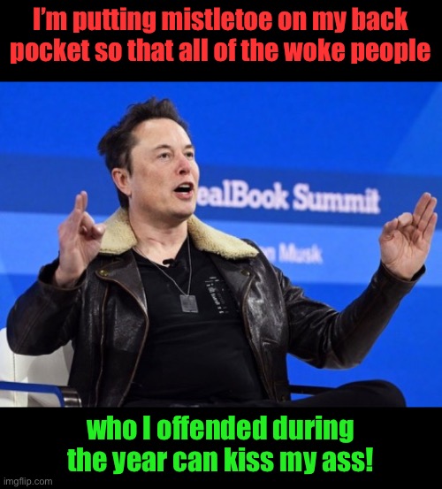 Elon | I’m putting mistletoe on my back pocket so that all of the woke people; who I offended during the year can kiss my ass! | image tagged in elon musk go f yourself | made w/ Imgflip meme maker