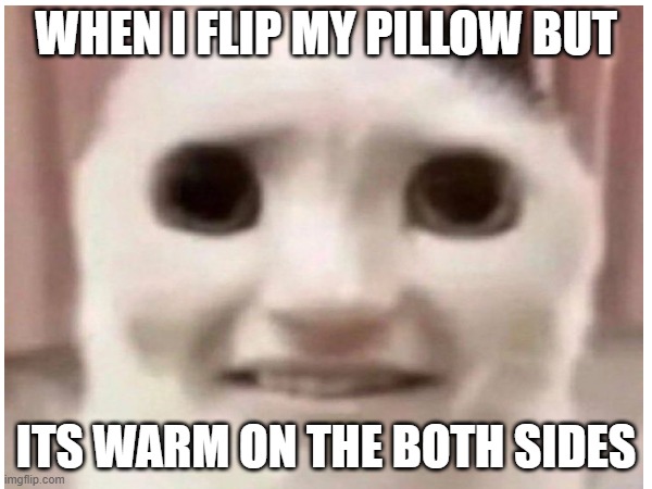 WHEN I FLIP MY PILLOW BUT; ITS WARM ON THE BOTH SIDES | made w/ Imgflip meme maker