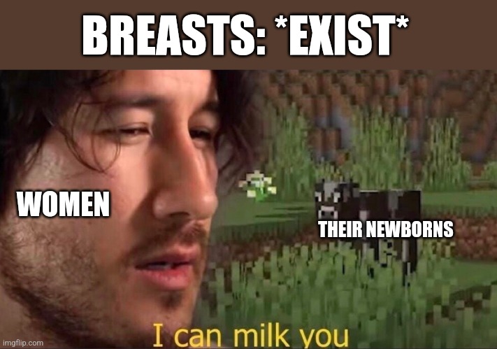 Do not look at this meme! | BREASTS: *EXIST*; WOMEN; THEIR NEWBORNS | image tagged in i can milk you template,weird,markiplier,haha,women,newborn | made w/ Imgflip meme maker