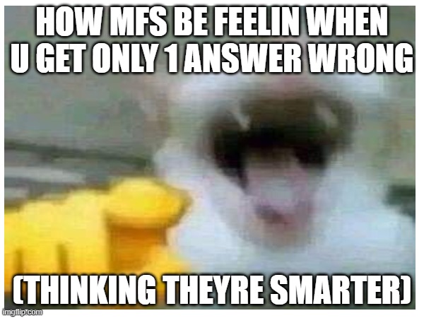 HOW MFS BE FEELIN WHEN U GET ONLY 1 ANSWER WRONG; (THINKING THEYRE SMARTER) | made w/ Imgflip meme maker