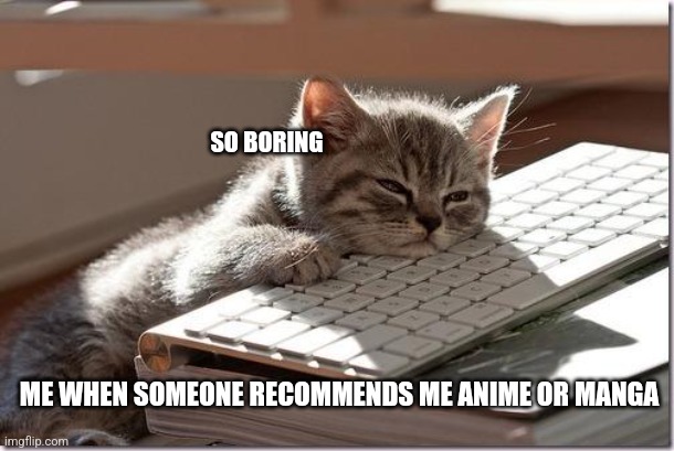 Too boring. A and M are very boring and uncreative  | SO BORING; ME WHEN SOMEONE RECOMMENDS ME ANIME OR MANGA | image tagged in bored keyboard cat | made w/ Imgflip meme maker
