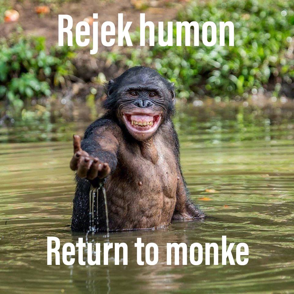 High Quality Reject humanity return to monke Blank Meme Template