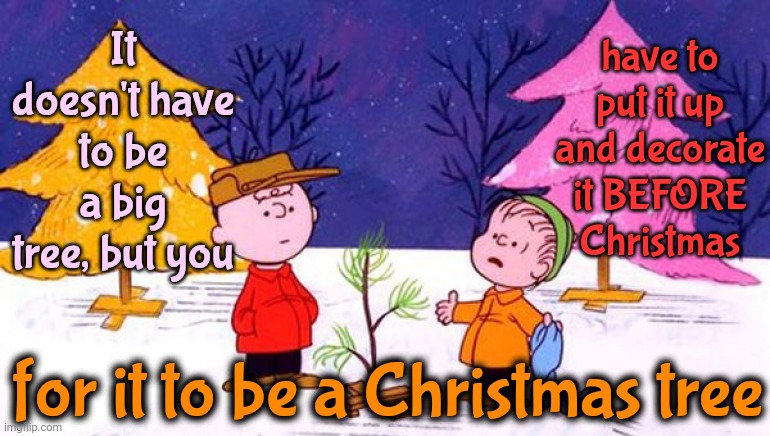 There's Always That One Friend ... lol | It doesn't have to be a big tree, but you; have to put it up and decorate it BEFORE Christmas; for it to be a Christmas tree | image tagged in charlie brown christmas tree,put up the tree already,christmas tree,christmas memes,memes,santa | made w/ Imgflip meme maker