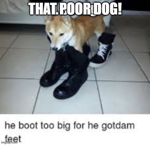 L so big boot too big | THAT POOR DOG! | image tagged in l so big boot too big | made w/ Imgflip meme maker