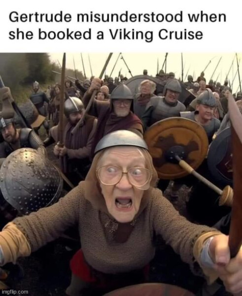Realistic cruises | image tagged in repost,viking,cruise | made w/ Imgflip meme maker