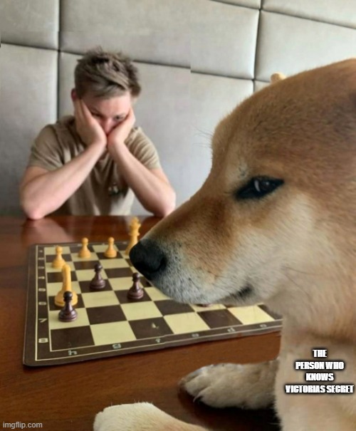 Chess doge | THE PERSON WHO KNOWS VICTORIAS SECRET | image tagged in chess doge | made w/ Imgflip meme maker