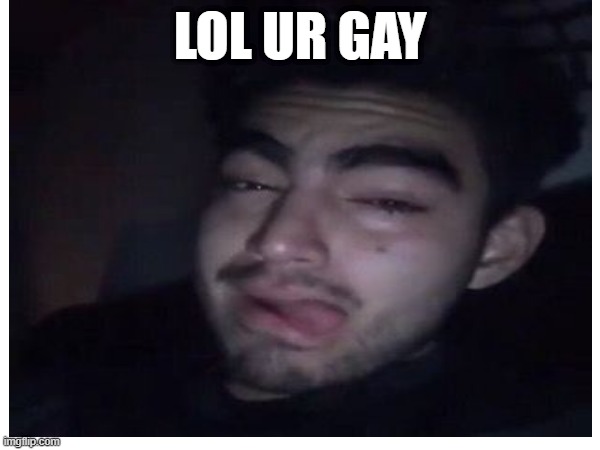 LOL UR GAY | made w/ Imgflip meme maker