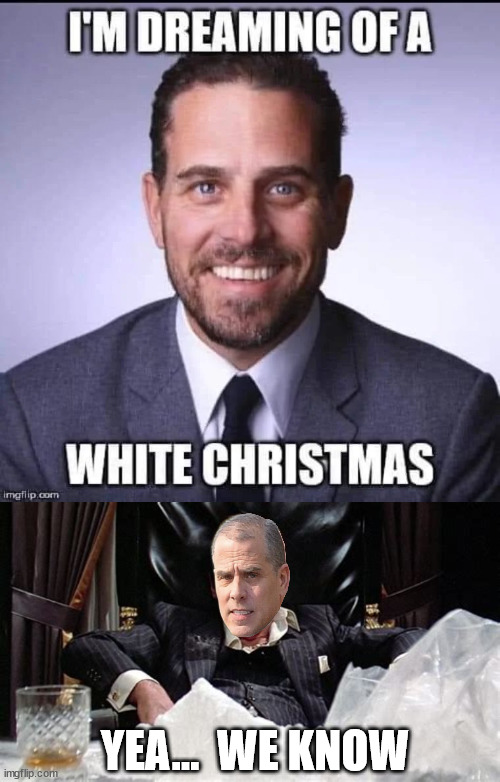 Yea...  we know | YEA...  WE KNOW | image tagged in hunter biden,white christmas,dreaming | made w/ Imgflip meme maker