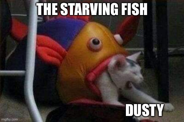 Cat eaten by play-fish | THE STARVING FISH; DUSTY | image tagged in cat eaten by play-fish | made w/ Imgflip meme maker