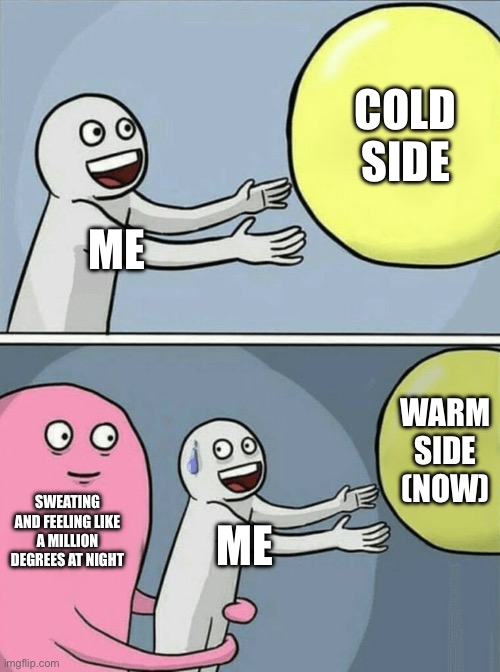 Running Away Balloon Meme | ME COLD SIDE SWEATING AND FEELING LIKE A MILLION DEGREES AT NIGHT ME WARM SIDE (NOW) | image tagged in memes,running away balloon | made w/ Imgflip meme maker