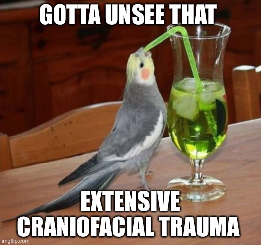 Bird drinking green juice | GOTTA UNSEE THAT; EXTENSIVE CRANIOFACIAL TRAUMA | image tagged in bird drinking green juice | made w/ Imgflip meme maker