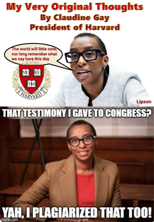 Confessions of a plagiarist...  Done more to ruin Harvard's reputation than anyone else... | image tagged in plagiarism,democrat,liar | made w/ Imgflip meme maker