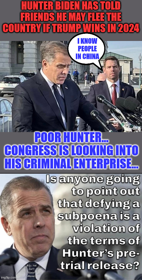Showing again, you're above the law... the American JustUs System... | HUNTER BIDEN HAS TOLD FRIENDS HE MAY FLEE THE COUNTRY IF TRUMP WINS IN 2024; I KNOW PEOPLE IN CHINA; POOR HUNTER... CONGRESS IS LOOKING INTO HIS CRIMINAL ENTERPRISE... | image tagged in criminal,hunter biden,i am above the law | made w/ Imgflip meme maker