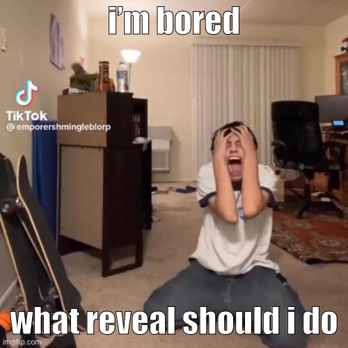 me rn | i’m bored; what reveal should i do | image tagged in me rn | made w/ Imgflip meme maker