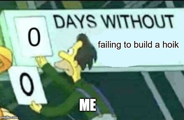 (cries in selah) | failing to build a hoik; ME | image tagged in 0 days without lenny simpsons,terraria | made w/ Imgflip meme maker