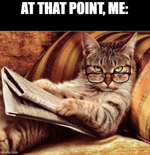 Are you for real cat | AT THAT POINT, ME: | image tagged in are you for real cat | made w/ Imgflip meme maker