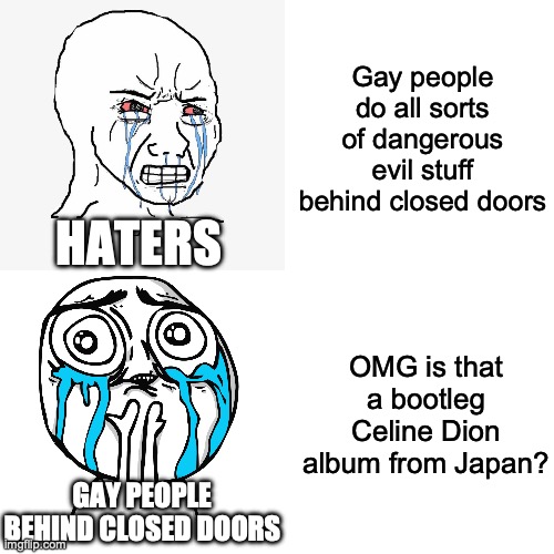 Gay People | Gay people do all sorts of dangerous evil stuff behind closed doors; HATERS; OMG is that a bootleg Celine Dion album from Japan? GAY PEOPLE BEHIND CLOSED DOORS | image tagged in memes | made w/ Imgflip meme maker