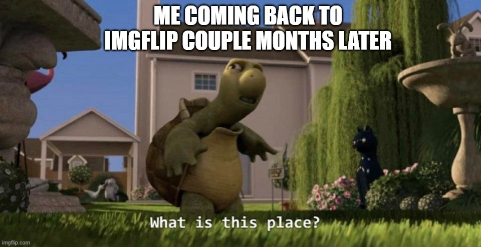 tf is with the new layout | ME COMING BACK TO IMGFLIP COUPLE MONTHS LATER | image tagged in what is this place,imgflip | made w/ Imgflip meme maker