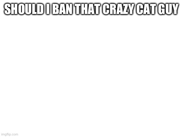 SHOULD I BAN THAT CRAZY CAT GUY | made w/ Imgflip meme maker