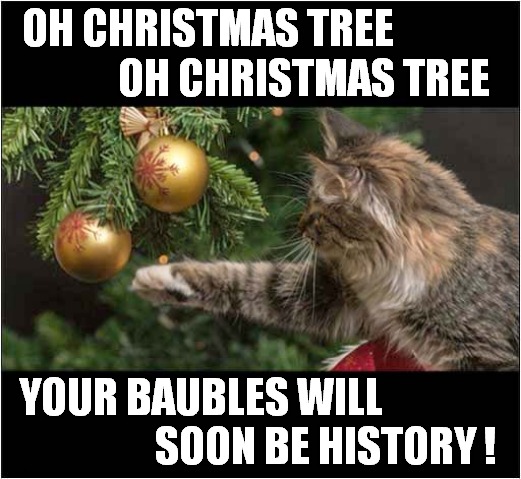 Seasonal Destruction ! | OH CHRISTMAS TREE
              OH CHRISTMAS TREE; YOUR BAUBLES WILL       
                   SOON BE HISTORY ! | image tagged in cats,christmas tree,baubles,destruction | made w/ Imgflip meme maker