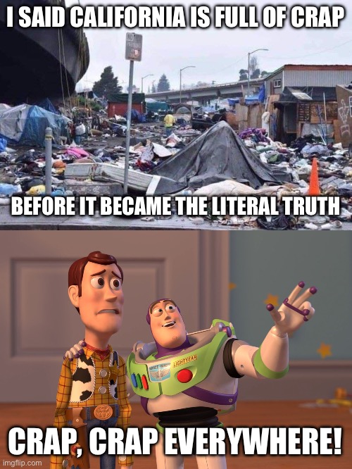 I SAID CALIFORNIA IS FULL OF CRAP; BEFORE IT BECAME THE LITERAL TRUTH; CRAP, CRAP EVERYWHERE! | image tagged in california tent city,x x everywhere,politics,san francisco,stupid liberals,liberal hypocrisy | made w/ Imgflip meme maker