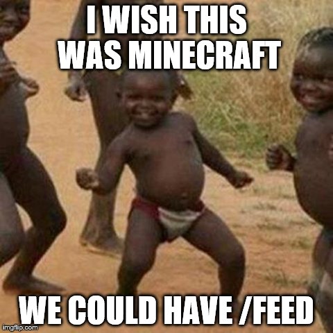 Third World Success Kid | I WISH THIS WAS MINECRAFT WE COULD HAVE /FEED | image tagged in memes,third world success kid | made w/ Imgflip meme maker