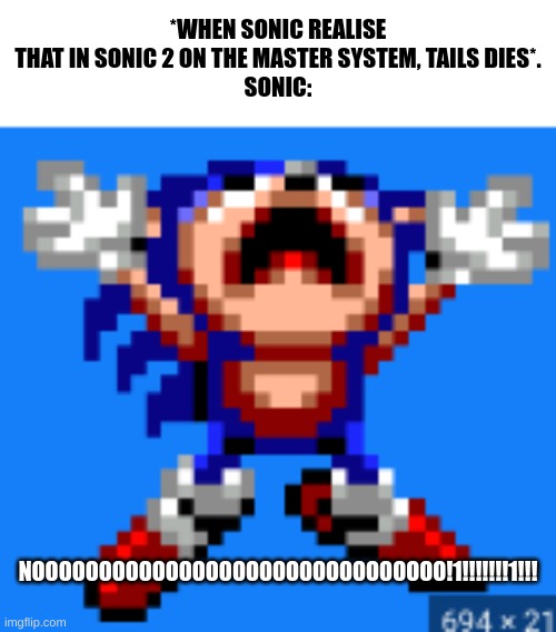 sonic sad | *WHEN SONIC REALISE THAT IN SONIC 2 ON THE MASTER SYSTEM, TAILS DIES*.
SONIC:; NOOOOOOOOOOOOOOOOOOOOOOOOOOOOOOO!1!!!!!!!1!!! | image tagged in sonic sad,sonic 2,sega master system,bad ending | made w/ Imgflip meme maker