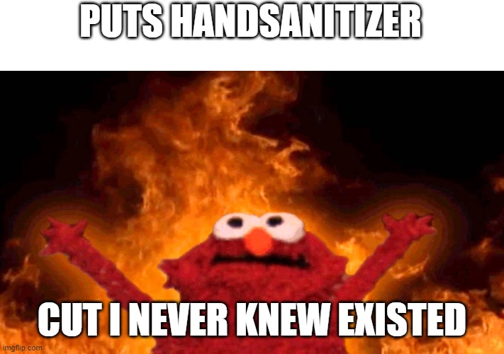 my hands | PUTS HANDSANITIZER; CUT I NEVER KNEW EXISTED | image tagged in elmo fire,hands,funny,meme,omg,lol | made w/ Imgflip meme maker