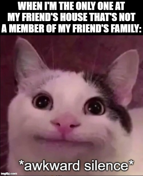 I just shut up until I have to leave | WHEN I'M THE ONLY ONE AT MY FRIEND'S HOUSE THAT'S NOT A MEMBER OF MY FRIEND'S FAMILY: | image tagged in awkward silence cat,friends,family,meet up | made w/ Imgflip meme maker