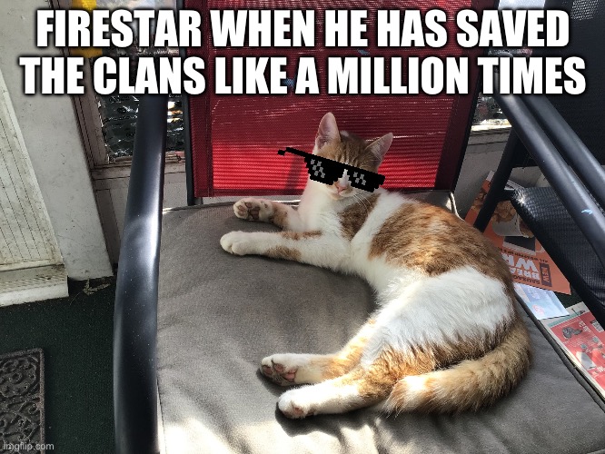 Too bad he died | FIRESTAR WHEN HE HAS SAVED THE CLANS LIKE A MILLION TIMES | image tagged in a cat of the gods | made w/ Imgflip meme maker