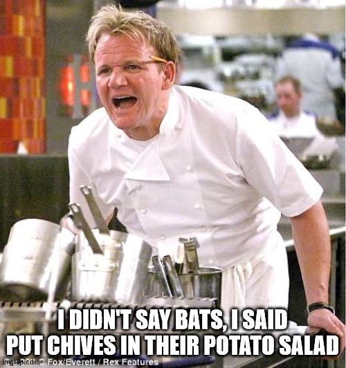 Chef Gordon Ramsay Meme | I DIDN'T SAY BATS, I SAID PUT CHIVES IN THEIR POTATO SALAD | image tagged in memes,chef gordon ramsay | made w/ Imgflip meme maker