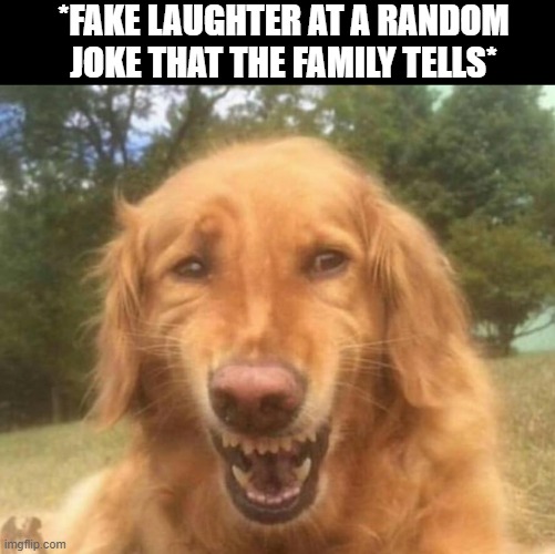 Fake Laugh Dog | *FAKE LAUGHTER AT A RANDOM JOKE THAT THE FAMILY TELLS* | image tagged in fake laugh dog | made w/ Imgflip meme maker