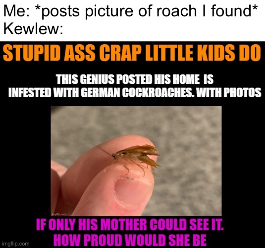 This guy never fails to show how pathetic he really is | Me: *posts picture of roach I found*
Kewlew: | made w/ Imgflip meme maker