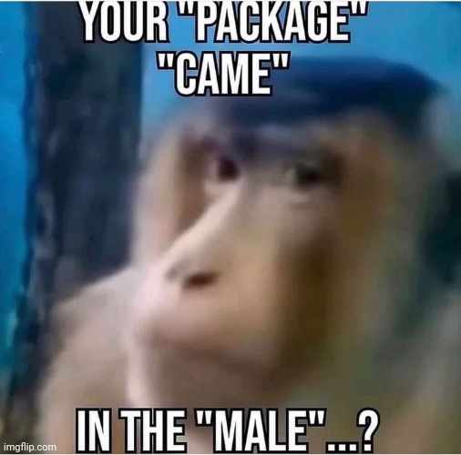 dude | made w/ Imgflip meme maker