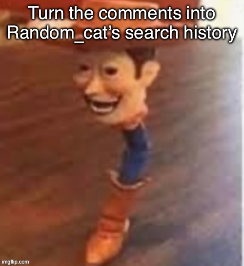 woody | Turn the comments into Random_cat’s search history | image tagged in woody | made w/ Imgflip meme maker
