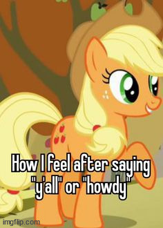 howdy yall | made w/ Imgflip meme maker