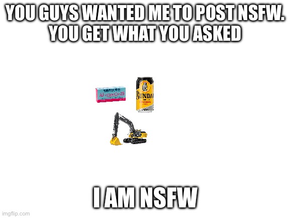 Blank White Template | YOU GUYS WANTED ME TO POST NSFW.
YOU GET WHAT YOU ASKED; I AM NSFW | image tagged in blank white template | made w/ Imgflip meme maker